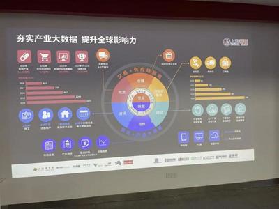 上海互聯(lián)網(wǎng)數(shù)據(jù)服務(wù)產(chǎn)業(yè)規(guī)劃啟示錄 湖北跟班干部的深刻感悟